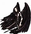 Dark Angel